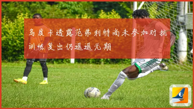 乌度卡透露范弗利特尚未参加对抗训练复出仍遥遥无期