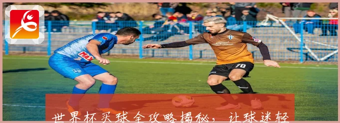 世界杯买球全攻略揭秘，让球迷轻松掌握投注技巧与策略